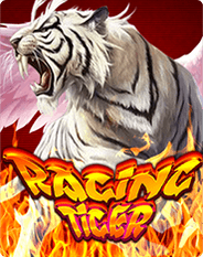Racing Tiger